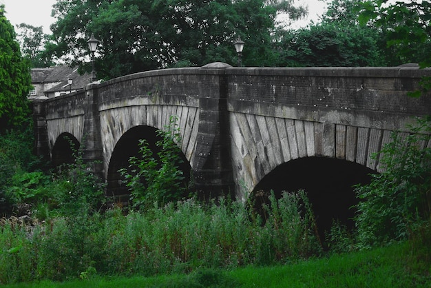 Puente de piedra entre vegetación en Inglaterra