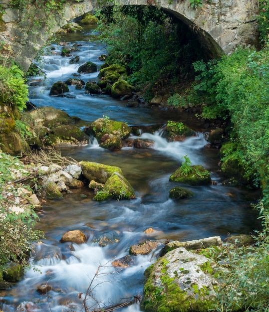 Puente en Pola de Somiedo Norte de España Asturias