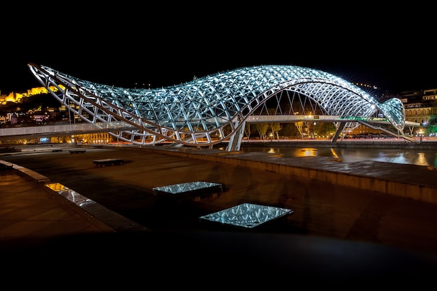 El puente de Prace en la ciudad de Tbilisi, toma nocturna del puente peatonal, Georgia