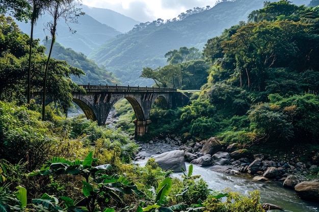 Foto un puente y un río en un paisaje pintoresco