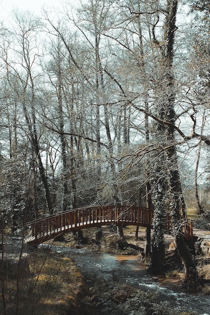 Puente en el río