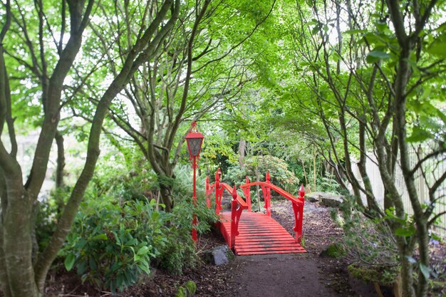 Puente rojo de estilo japonés en el bosque