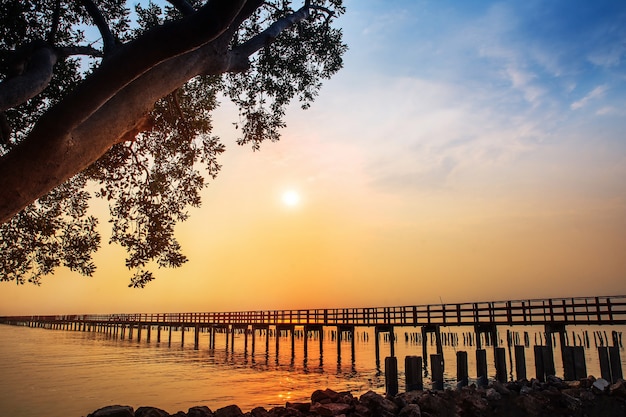 Puente rojo largo del árbol de la luz del sol en el mar de la playa, puente rojo Samut Sakhon Tailandia