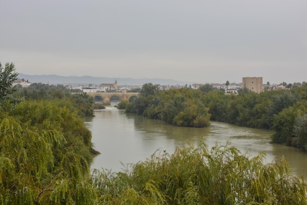 Puente romano sobre el Guadalquivir y Mesquite en Córdoba