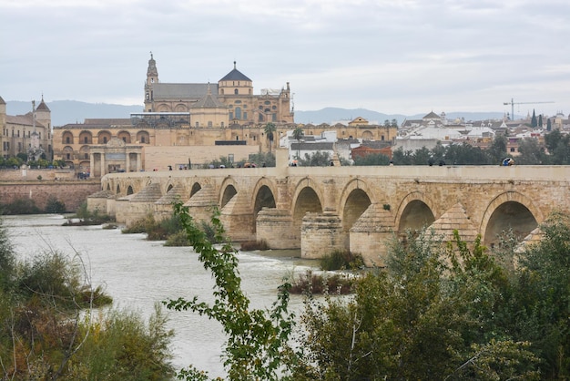 Puente romano sobre el Guadalquivir y Mesquite en Córdoba