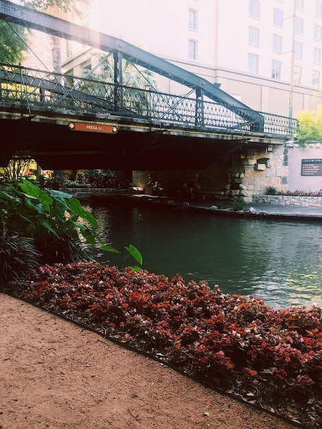 Foto puente sobre el agua