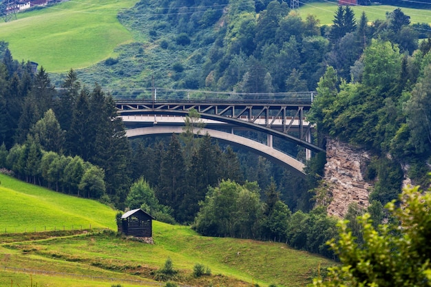 Foto puente sobre la carretera en medio de árboles en el bosque