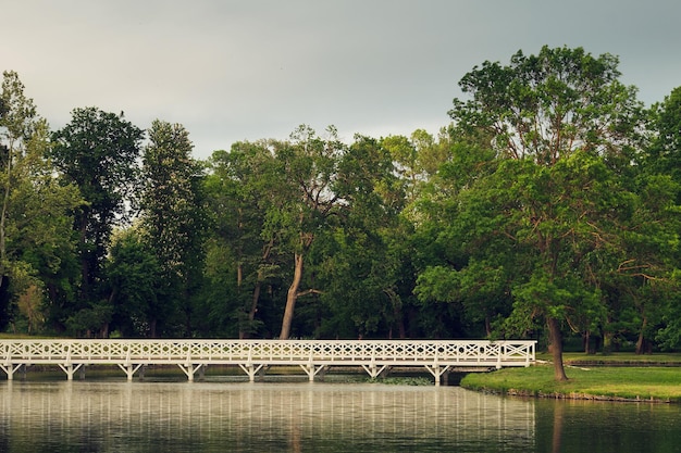 Puente sobre el estanque