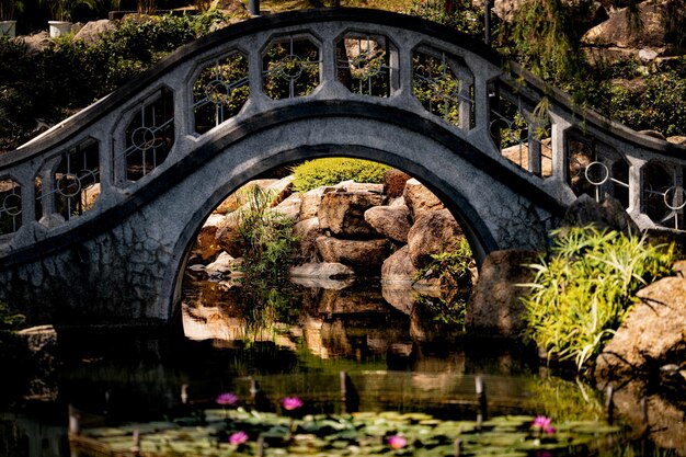 Foto puente sobre el lago