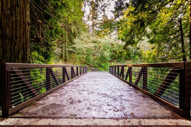 Puente sobre Purisima Creek en Purisima Creek Redwoods Preserve Santa Cruz Mountains San Francisco Bay Area California