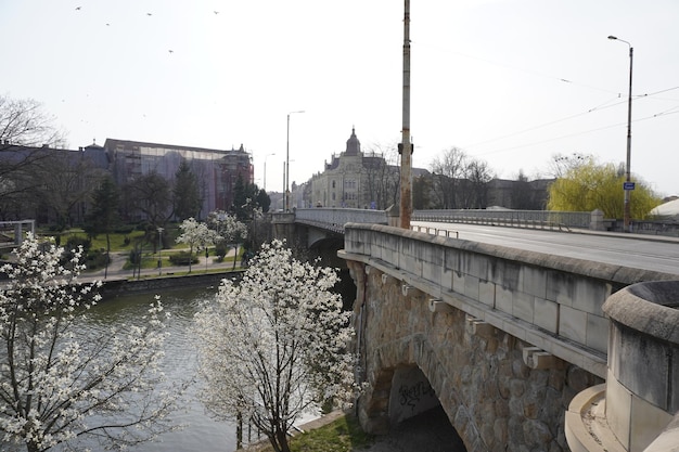 Puente sobre el río Bega