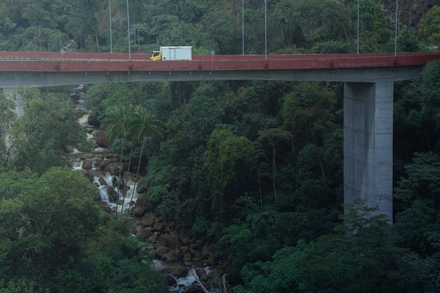 Puente sobre el río en el bosque profundo