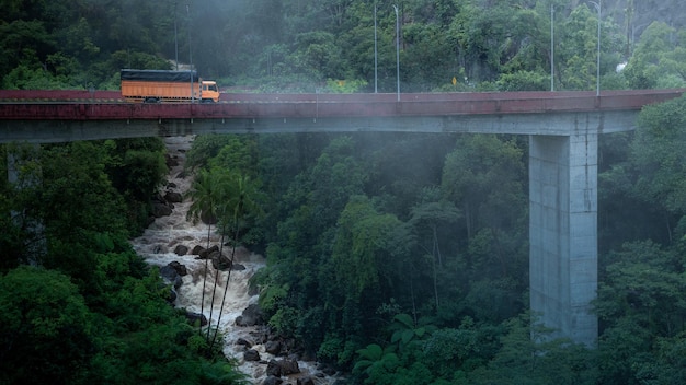 Puente sobre el río en el bosque profundo