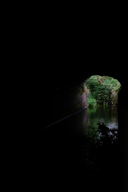 Foto puente sobre un río en el bosque