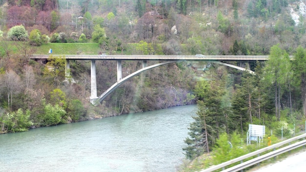 Puente sobre un río en el bosque