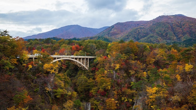 Un puente sobre un río con colores de otoño en el fondo