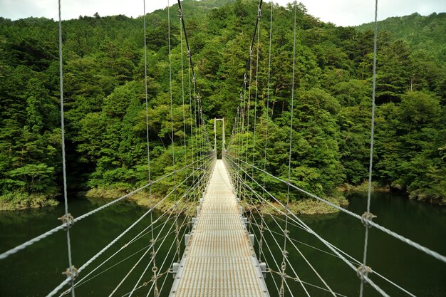 Foto puente sobre el río contra los árboles