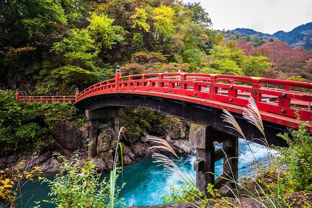 Un puente sobre un río en Japón