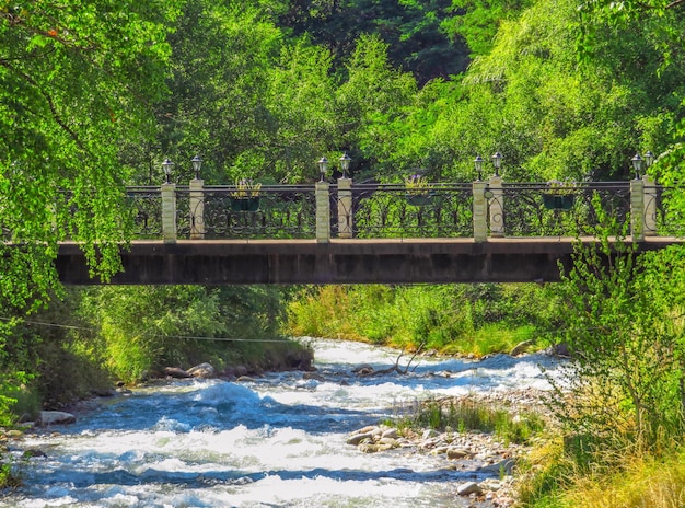 Puente sobre un río de montaña