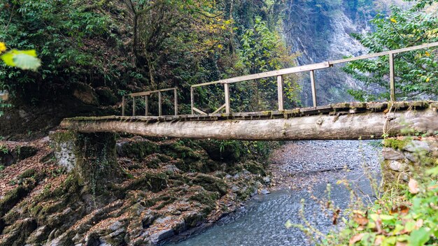 Puente sobre el río, Senderismo en el bosque de Sochi, Rusia.