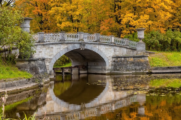 Puente sobre el río Slavyanka. El paisaje de otoño. Parque del Palacio de Pavlovsk. San Petersburgo, Rusia