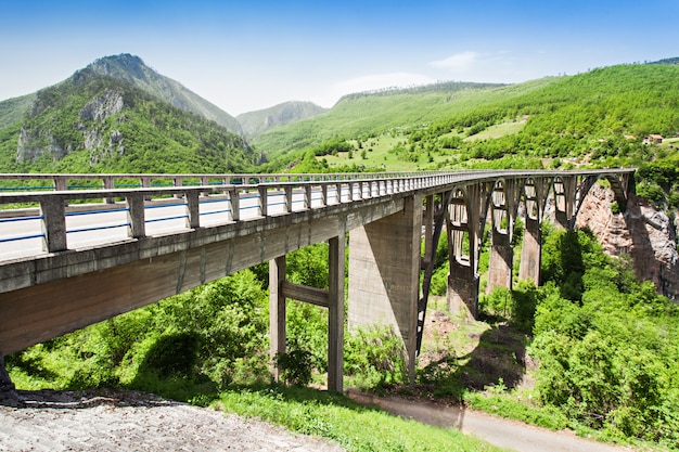 Puente de tara