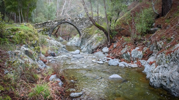 Puente veneciano medieval de Elia, atracción turística en el bosque de Paphos, Chipre