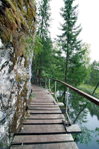 Foto el puente