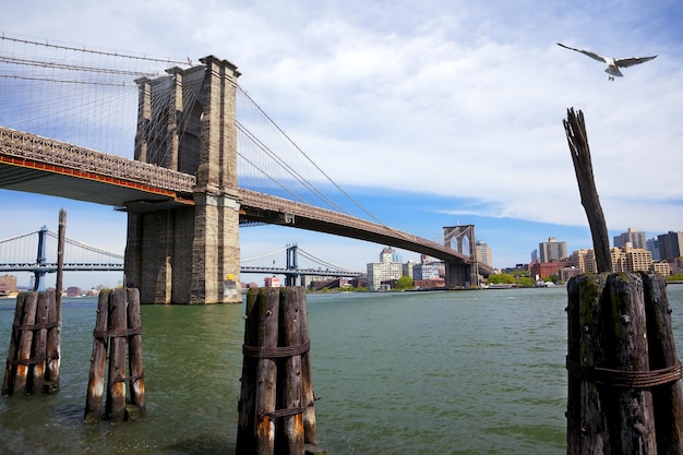 Puentes de Brooklyn y Manhattan