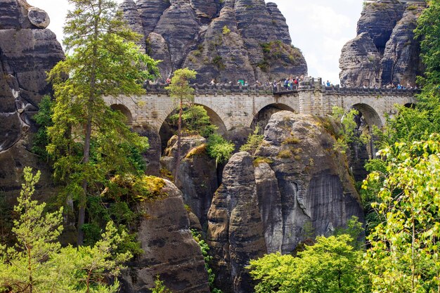 Foto puentes de piedra de la suiza sajona en una reserva natural nacional