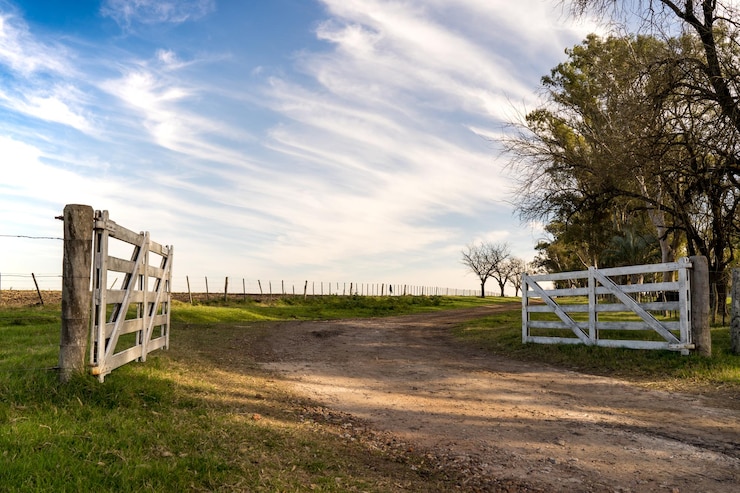 Foto puerta blanca de campo abierto