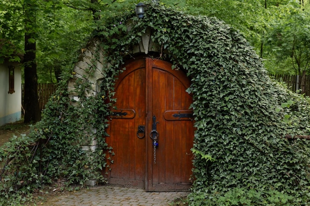 Puerta de bodega antigua con planta de hiedra Moldavia