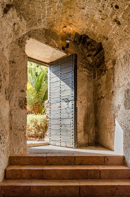 Foto una puerta en un castillo con una palmera al fondo