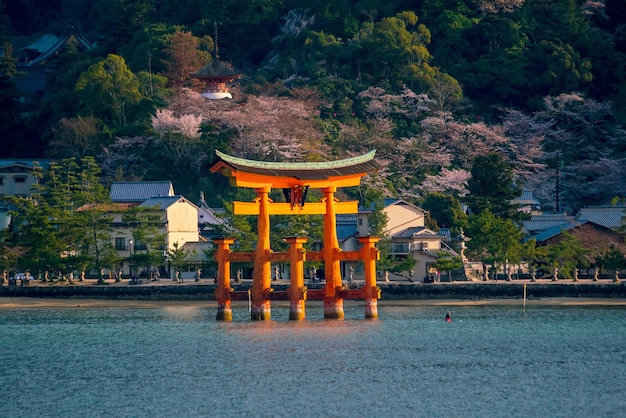 La puerta flotante del Santuario Itsukushima con sakura en Miyajima Hiroshima Japón