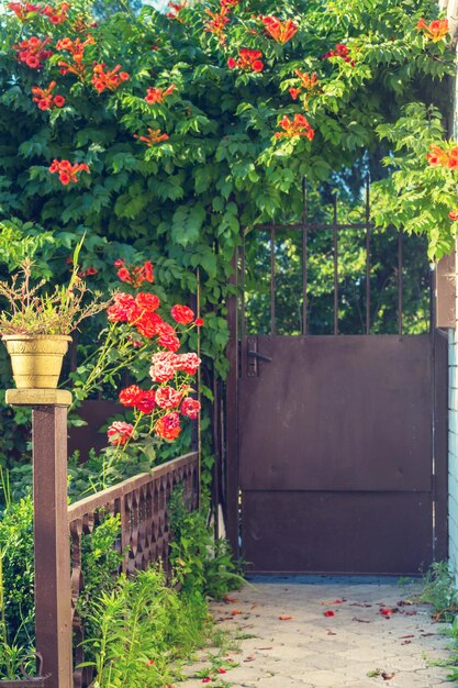 Foto puerta del jardín