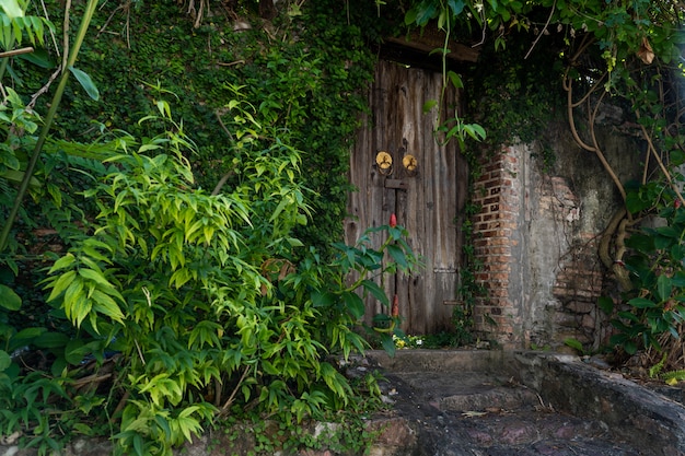 Puerta de madera con árbol de pared.