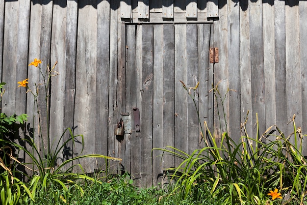 Puerta de madera cerrada con candado