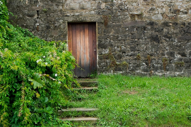 Puerta de madera rústica