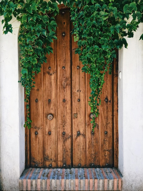 Foto puertas de madera cerradas del edificio