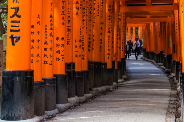 Puertas rojas de Torii en el santuario de Fushimi Inari