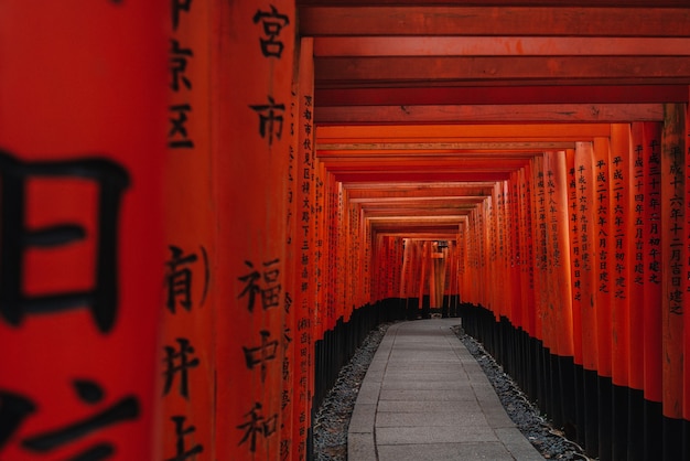 Puertas Torii en el Santuario Fushimi Inari, Kyoto, Japón