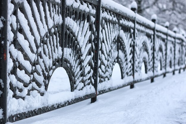 puertas de valla forjada en invierno