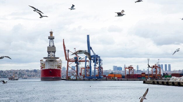 Puerto con buque de carga amarrado en tiempo nublado con gaviotas volando, Turquía