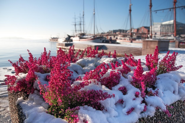 El puerto de la ciudad de Oslo