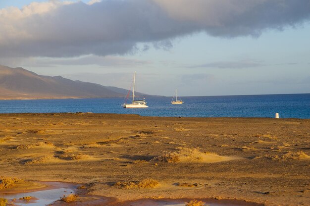 puerto de la cruz