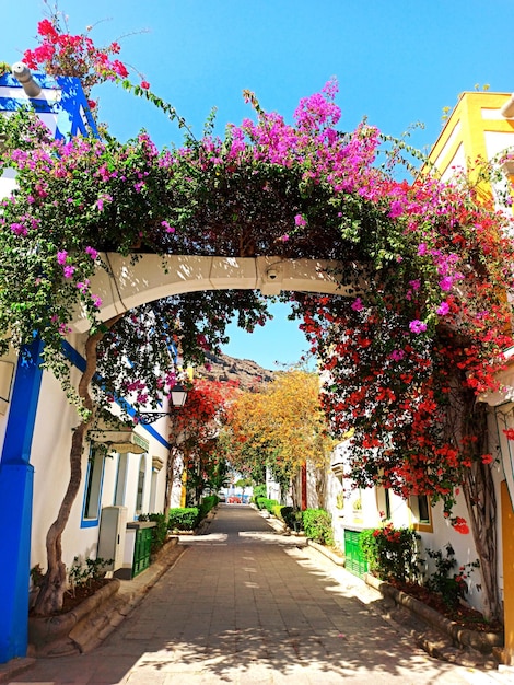 Puerto de mogan em gran canaria