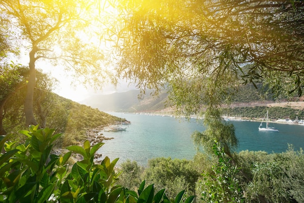 Puerto marítimo con barcos sobre un fondo de verdes montañas a la luz del sol