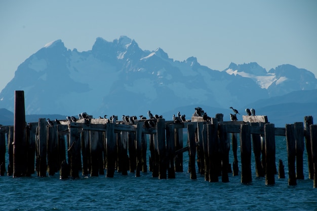 Puerto Natales Lake Chile Patagonia