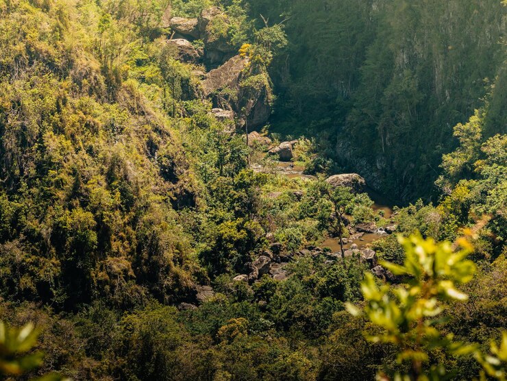 Foto puerto rico san cristobal vistas e cordilheira cheia de verdes