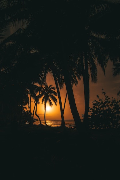 Foto puesta de sol amanecer en la playa del caribe